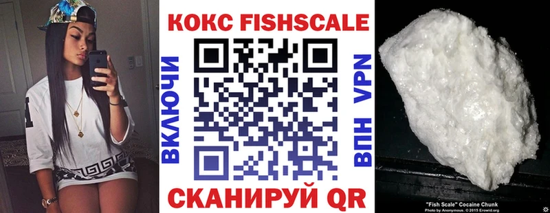Кокаин Fish Scale  Купить закладки  Каргополь 
