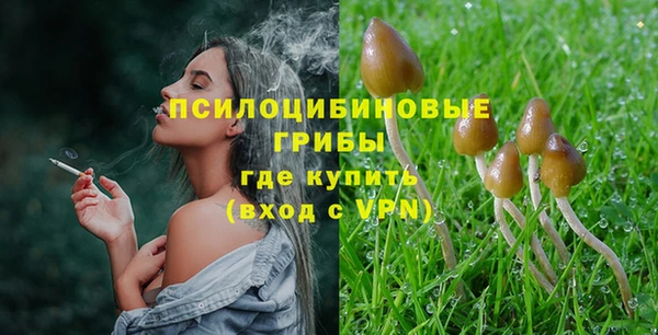 гидропоника Верея