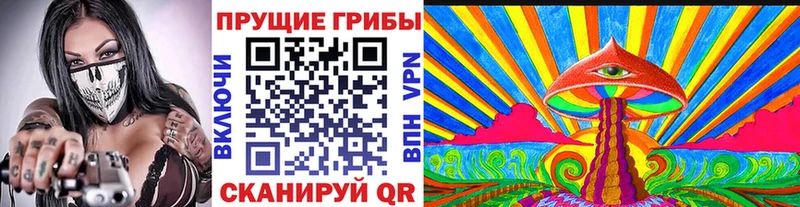 Купить Каргополь Галлюциногенные грибы мухоморы