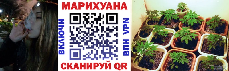 Купить где  Каргополь  Канабис AK-47 